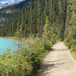 Meet your Posher, Latika